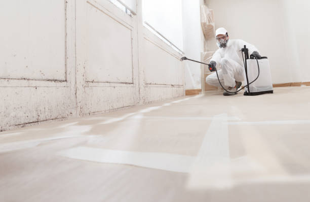 24/7 Emergency Mold Remediation experts in Kenly, NC